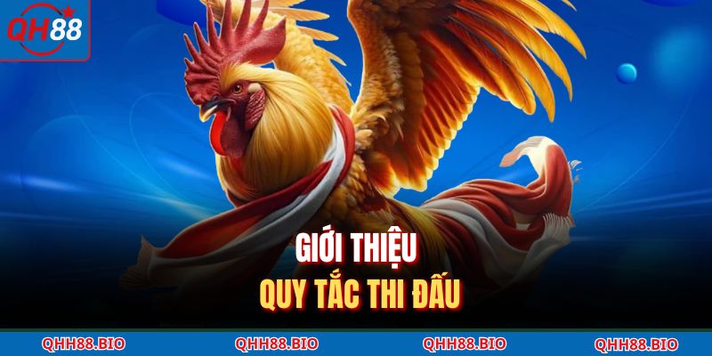 Giới thiệu quy tắc thi đấu