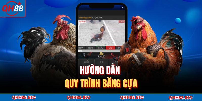 Hướng dẫn quy trình băng cựa