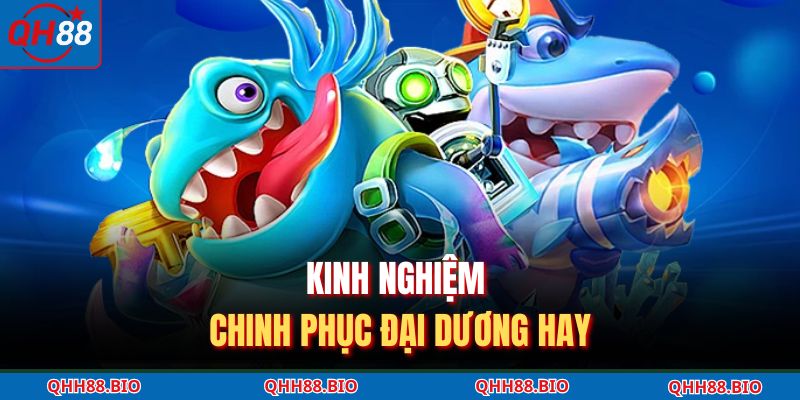 Kinh nghiệm chinh phục đại dương hay