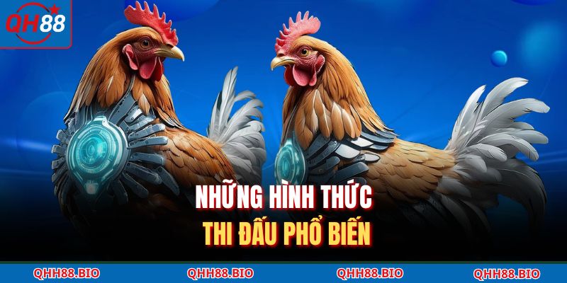 Những hình thức thi đấu phổ biến