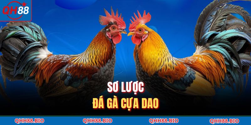 Sơ lược đá gà cựa dao