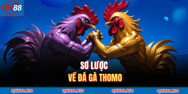 Sơ lược về đá gà Thomo